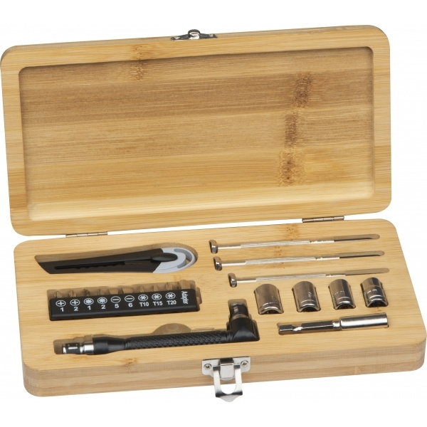 Logotrade promotional giveaway image of: 22-piece tool set BERINGEN