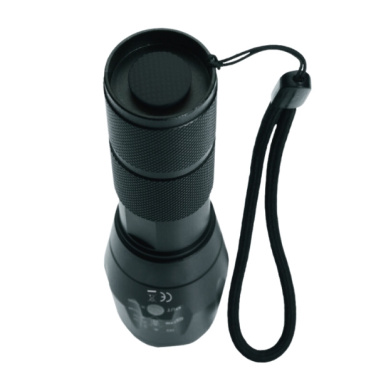 Logotrade advertising product image of: Flashlight DELGADA Schwarzwolf