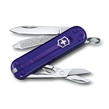 Logotrade promotional giveaway image of: Pocket knife Classic SD transparent Victorinox