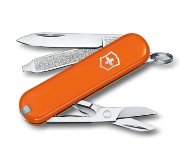 Logotrade promotional merchandise image of: Pocket knife CLASSIC SD Victorinox