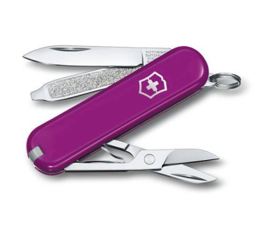 Logo trade promotional giveaways image of: Pocket knife CLASSIC SD Victorinox