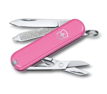 Logotrade promotional merchandise picture of: Pocket knife CLASSIC SD Victorinox