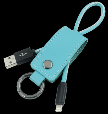 Logo trade promotional gifts picture of: Keyring 59612900