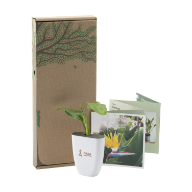 Logo trade advertising products image of: Treemore Letterbox Trees Bird of Paradise plant