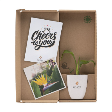 Logo trade corporate gift photo of: Treemore Letterbox Trees Bird of Paradise plant