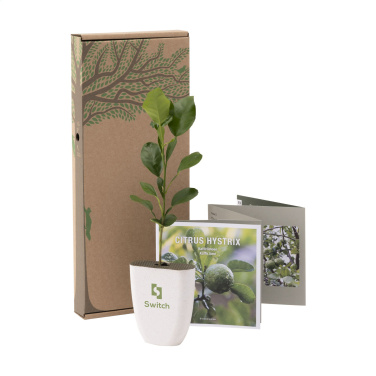 Logo trade promotional gifts picture of: Treemore Letterbox Trees Kaffir Lemon