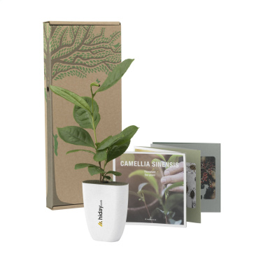 Logotrade advertising product image of: Treemore Letterbox Trees Tea plant