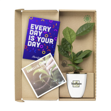 Logo trade promotional product photo of: Treemore Letterbox Trees Tea plant