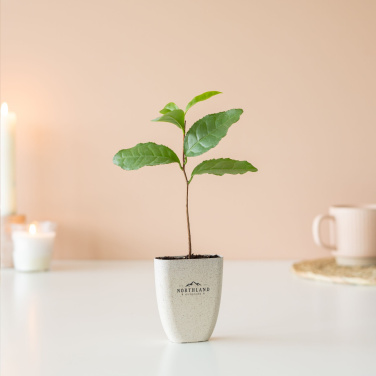 Logo trade promotional merchandise picture of: Treemore Letterbox Trees Tea plant