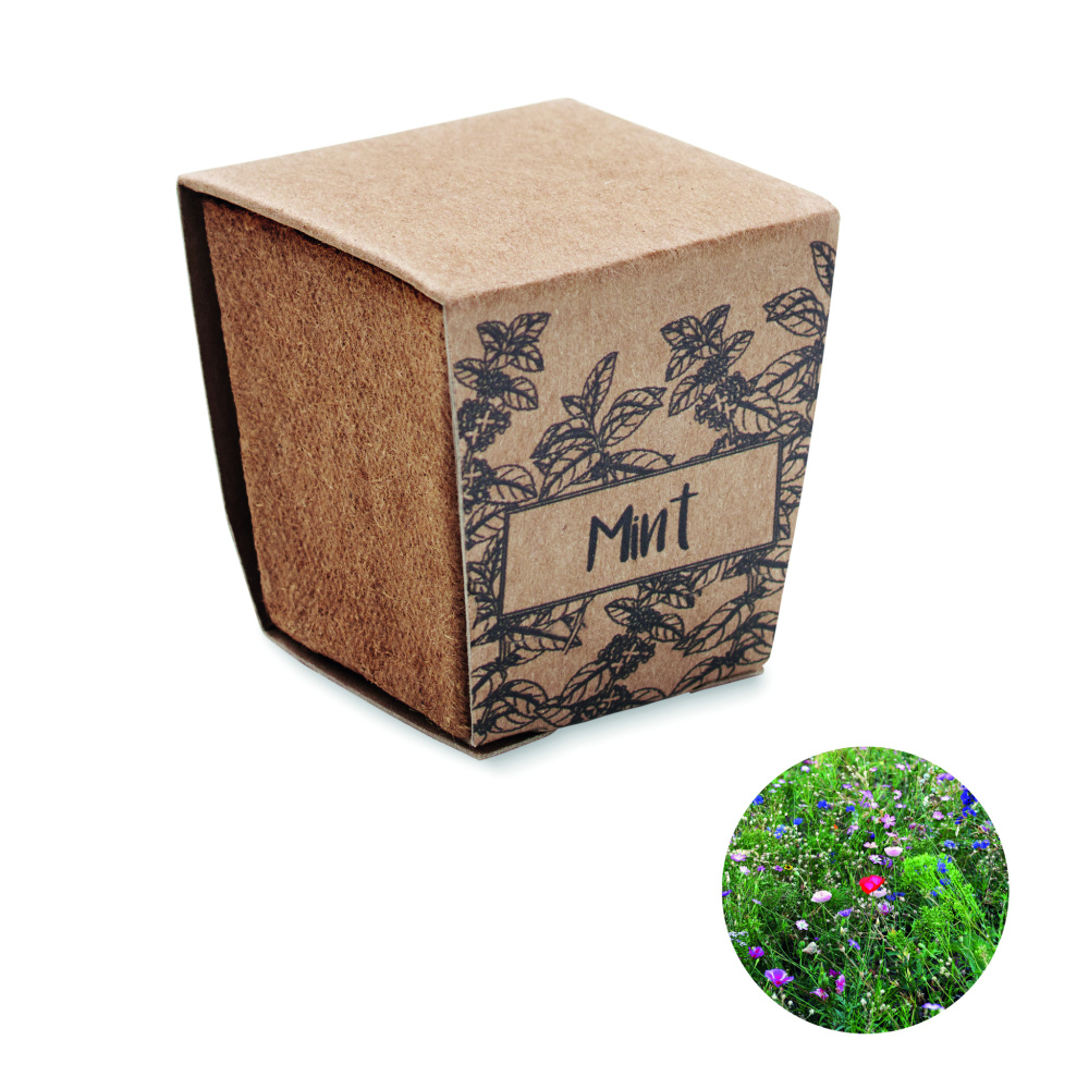 Logotrade promotional gift picture of: Mint seeds growing kit