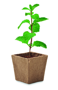 Logo trade corporate gift photo of: Mint seeds growing kit