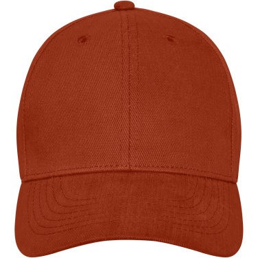 Logo trade promotional merchandise picture of: Davis 6 panel cap