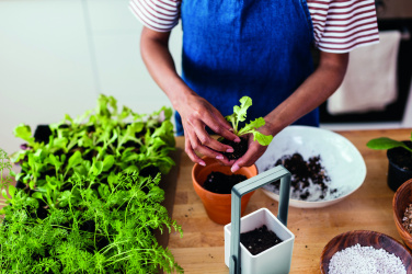 Logotrade corporate gift picture of: Indoor garden with LED light