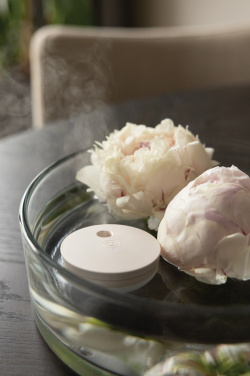 Logo trade business gift photo of: Breevia RCS rplasic re-chargeable floating humidifier