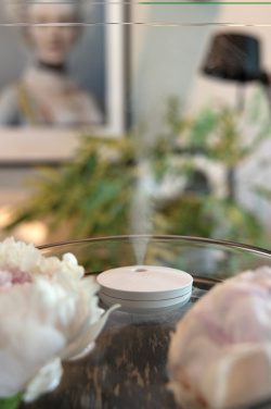 Logotrade promotional gift image of: Breevia RCS rplasic re-chargeable floating humidifier