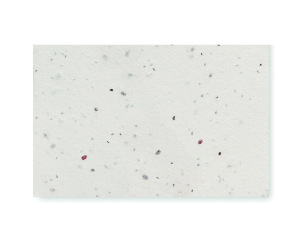 Logo trade business gifts image of: Wildflower seed business card.