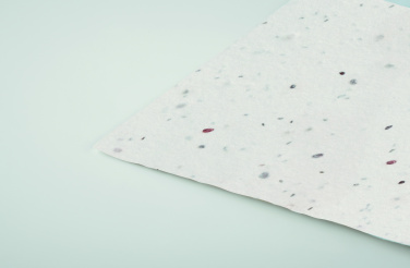 Logotrade corporate gifts photo of: Wildflower seed business card.