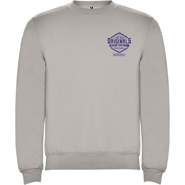 Logotrade promotional merchandise picture of: Clasica unisex crewneck sweater