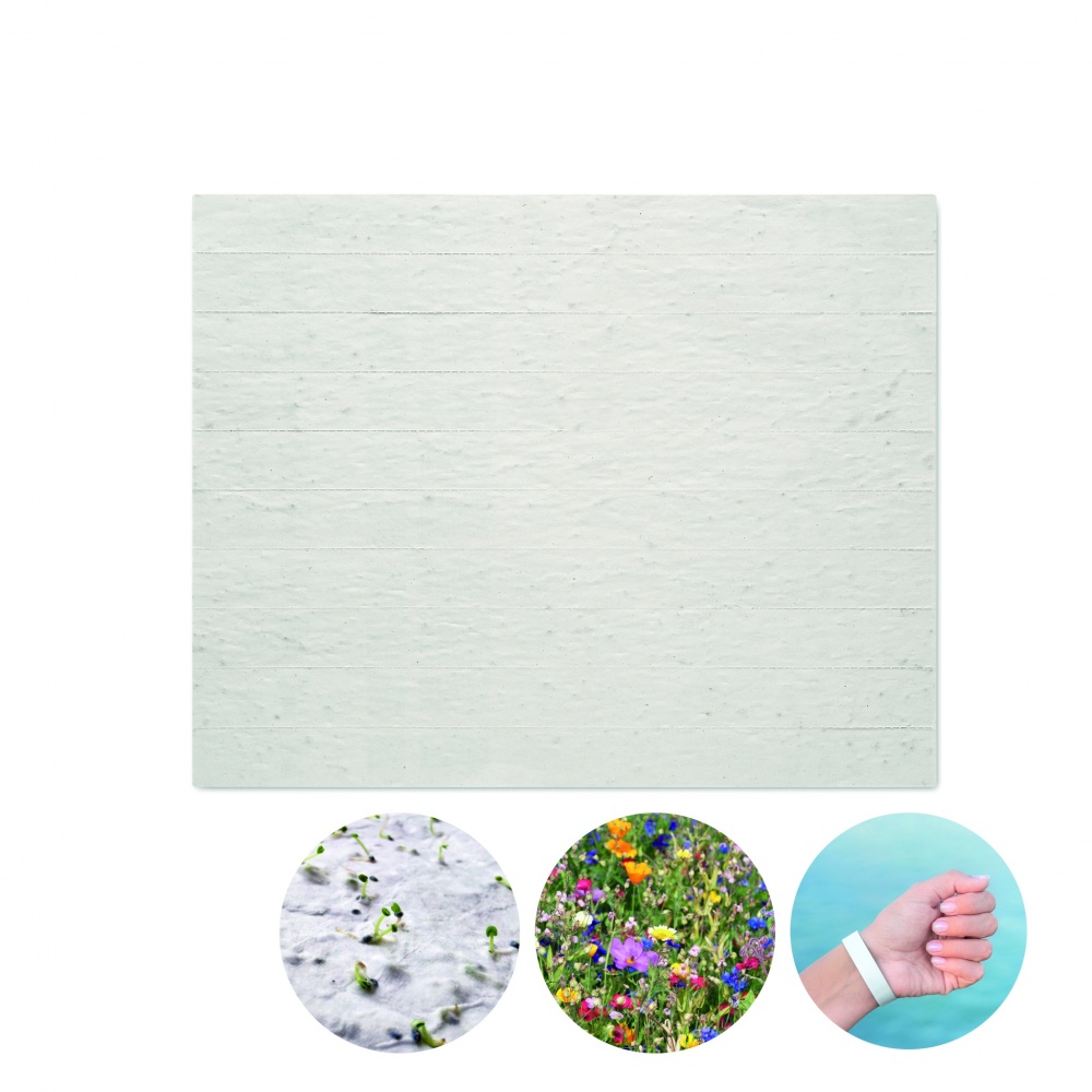 Logo trade meene pilt: Seemnepaberist leht randmepaeltega