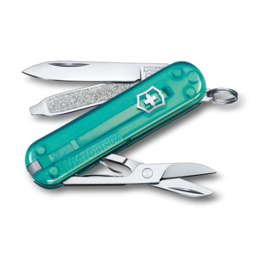 Logo trade firmakingituse pilt: Taskunuga Classic SD läbipaistev Victorinox