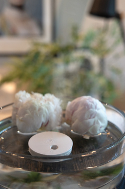 Logo trade reklaamtoote pilt: Breevia RCS plastikust laetav ujuv õhuniisutaja