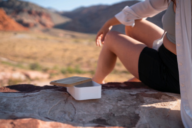 Logo trade reklaamkingituse pilt: RCS lõunakarp bambusest kaanega