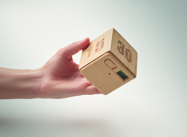 Logotrade ärikingituse foto: Bambusest taimer CURT