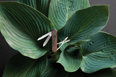 Logotrade ärikingid pilt: VICTORINOX taskunuga Classic SD puidust käepidemega