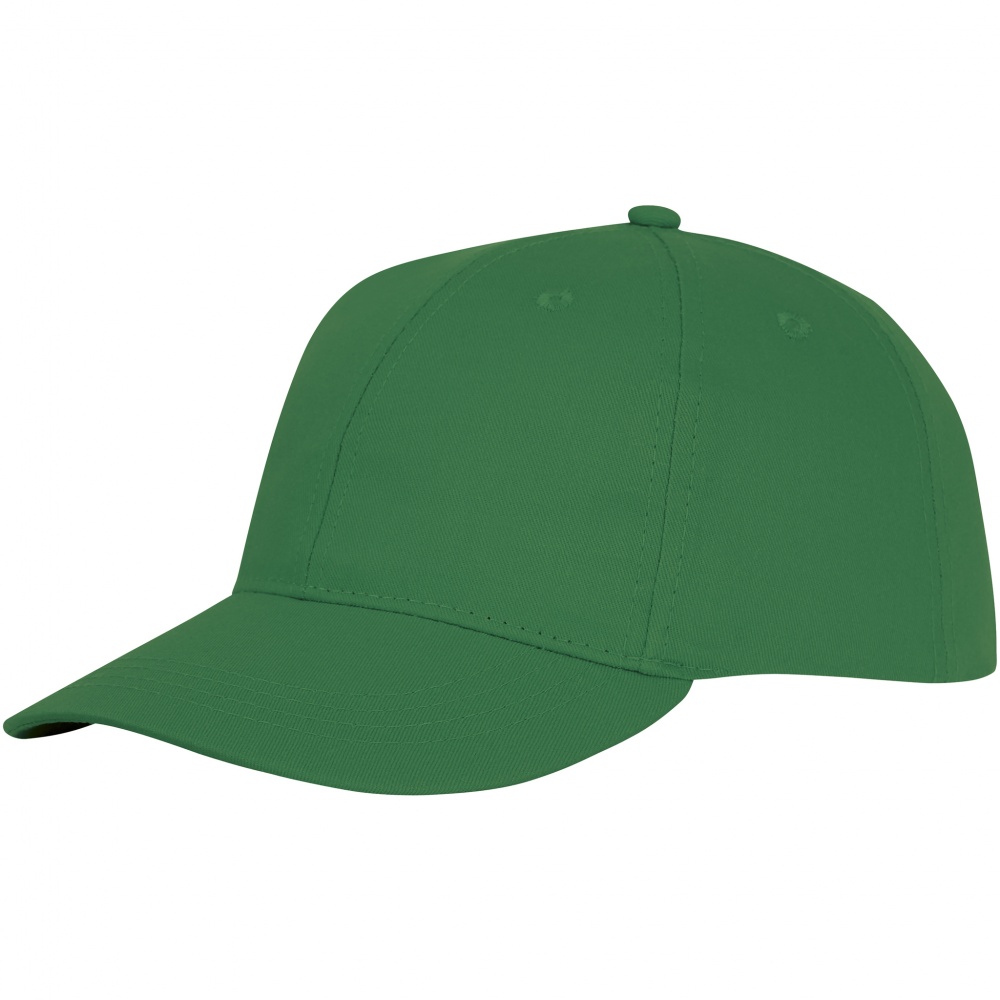 Logotrade liikelahja tuotekuva: Ares 6 panel cap fern green