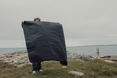 Лого трейд pекламные подарки фото: Одеяло для пикника VINGA Baltimore RCS