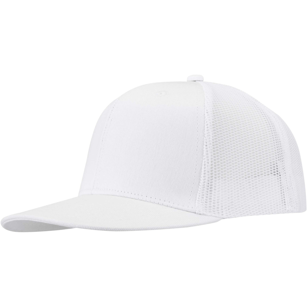 Логотрейд бизнес-подарки картинка: 6-панельная кепка Drift Snapback 260 г/м2