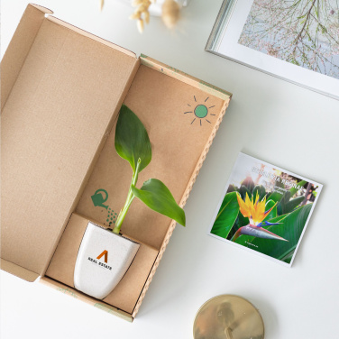 Logotrade reklamprodukter bild: Treemore Letterbox Träd Bird of Paradise växt