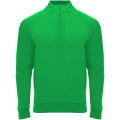 Epiro långärmad unisex sweatshirt med kvartslång dragkedja, Ormbunkegrön